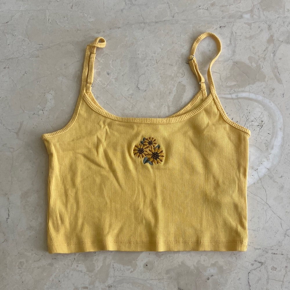 Hollister tank